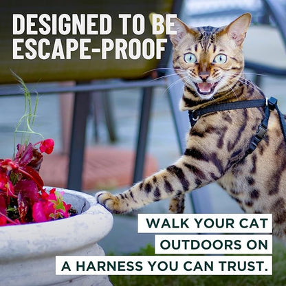 Houdini™ Escape Proof Cat Harness and Leash Set by OutdoorBengal – Orange - Image 2