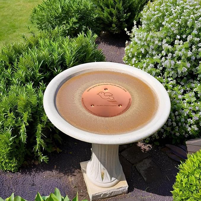 Bird Bath Copper Disk, Copper Bird Bath Purification Disk, Pure Copper Cleaning - Image 3