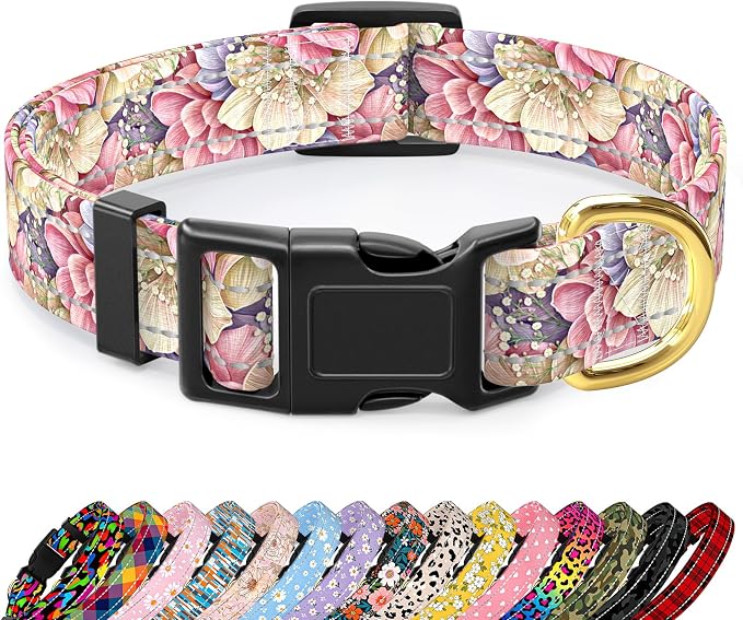 Reflective Dog Collar for Small Dogs, Cute Flower Theme Adjustable Heavy-Duty by TMOODEL