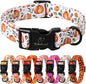 Fall Dog Collar, Cute Orange Pumpkin Pattern Puppy Collar, Soft Comfort by Babolepet