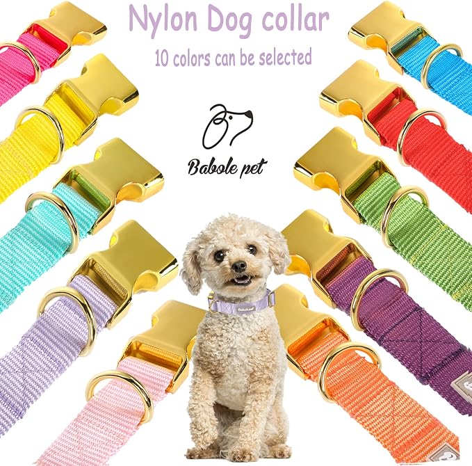 Nylon Dog Collar - Image 8