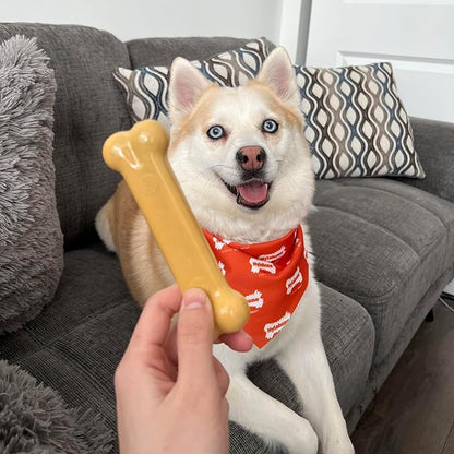Nylabone Customer Favorites Power Chew Toy Bundle - Image 9