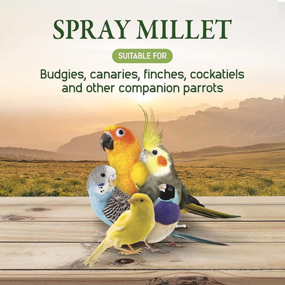 Living World – Millet Spray for Birds, 17.6 Oz – Premium Treat for Budgies - Image 5