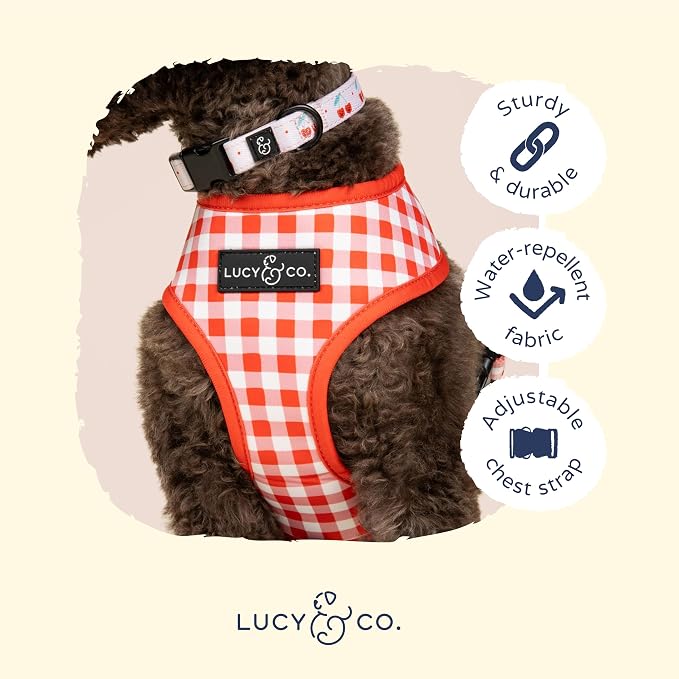 Lucy & Co. Cheery Cherries, Cute Reversible Dog Harness Walking Halter - Image 4