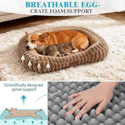 Orthopedic Dog Bed for Large Dogs, Comfort-Sided Calming Pet Bed - Image 2