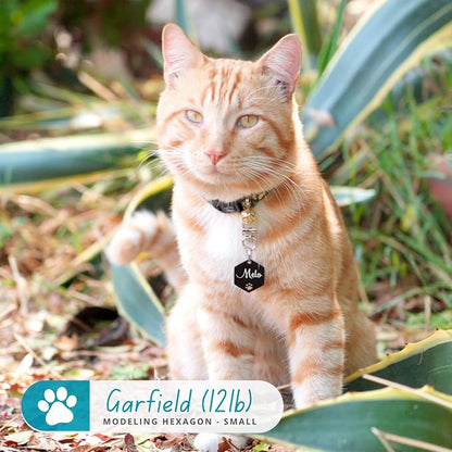 Ultra Joys Personalized Dog Tags - Image 4