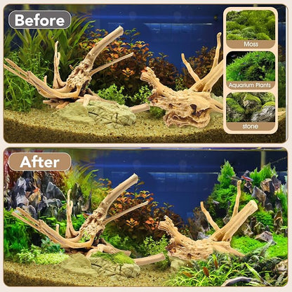Jorewood Natural Large Spiderwood Driftwood - Image 7