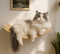 Curved Cat Wall Hammock with Scratchable Sisal Pad, Large Floating Cat Shelf by PELUOMOZ