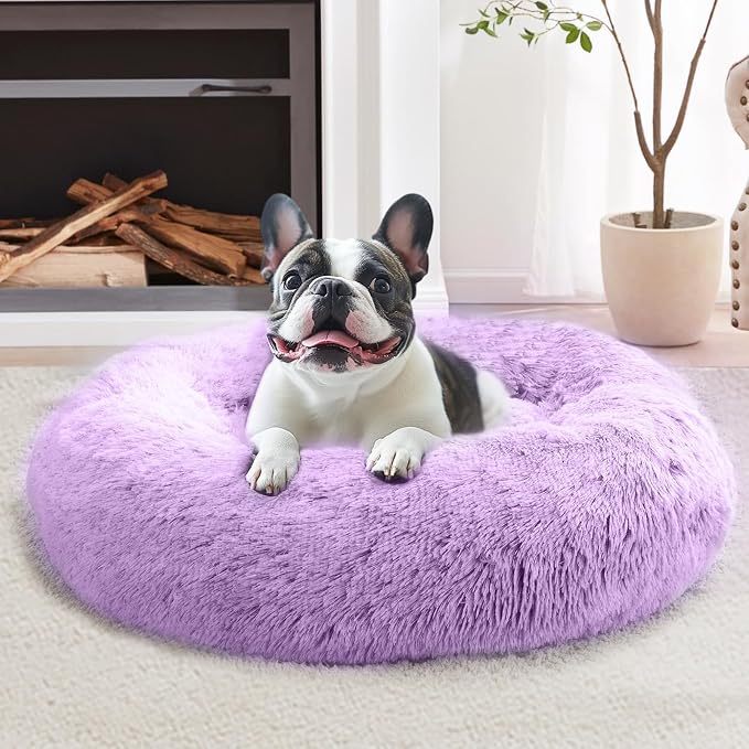 JOLLYVOGUE Calming Dog Bed Medium Size Dog, Anti-Anxiety Donut Medium Pet Bed by JOLLYVOGUE
