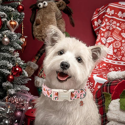 DOGWONG Christmas Dog Collar - Image 5