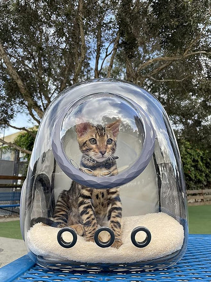 Pet Carrier Backpack for Kitten, Small Puppy and Bunny, Backpack for Kitten - Image 6