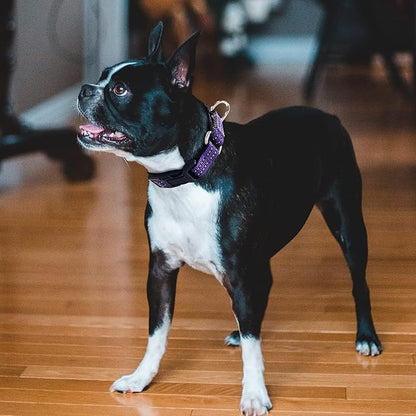 Hikiko Martingale Collar for Dogs Reflective Nylon Dog Collar - Image 2