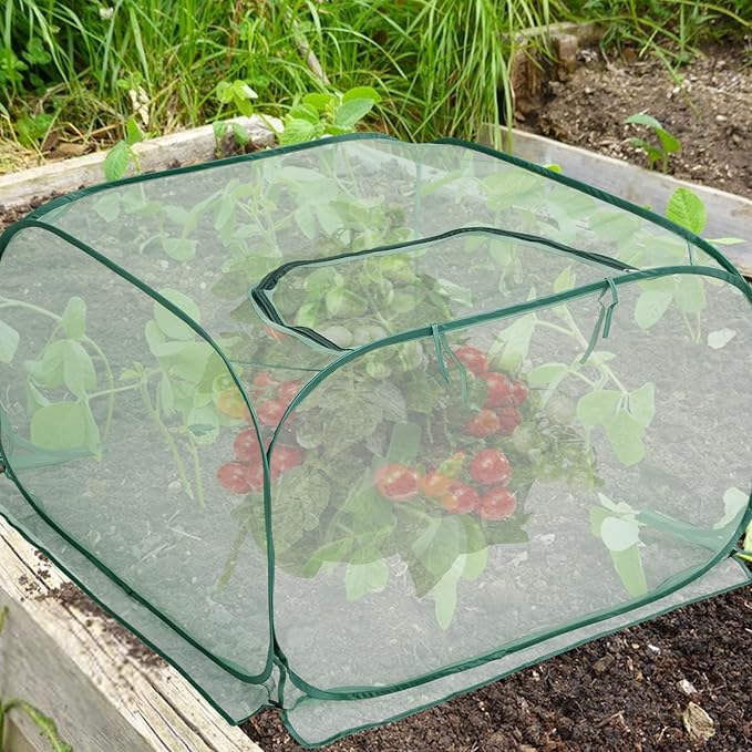 2 Pcs Pop Up Mesh Plant Cover, Garden Net Cage Guard Cover - Image 6