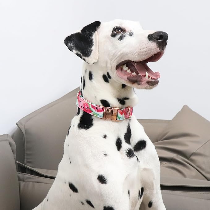 Unique Style Paws Watermelon Collar - Image 4