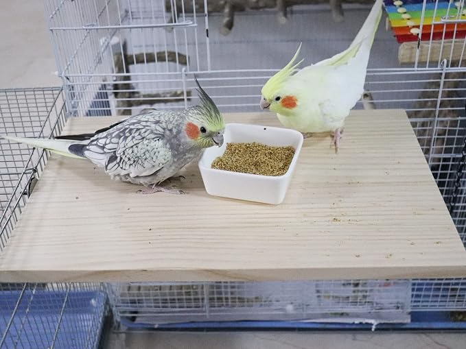 15.7×10.4 Inches Large Bird Perch Stand Platform, Natural Wooden Small Animals - Image 3