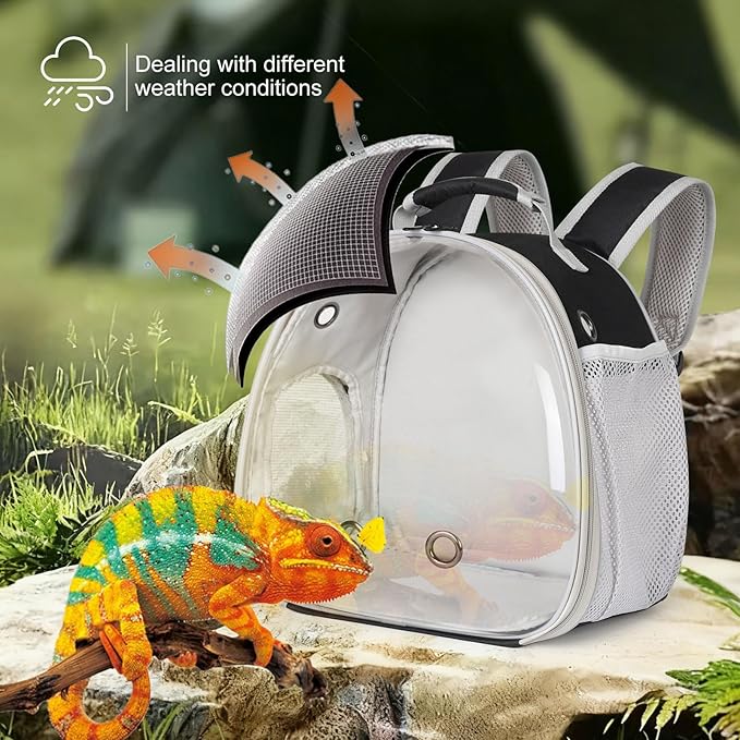 Bearded Dragon Travel Backpack - Image 4