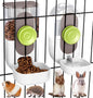 Kenond Hanging Automatic Pet Food Water Dispenser, 35oz Rabbit Feeder Guinea by Kenond