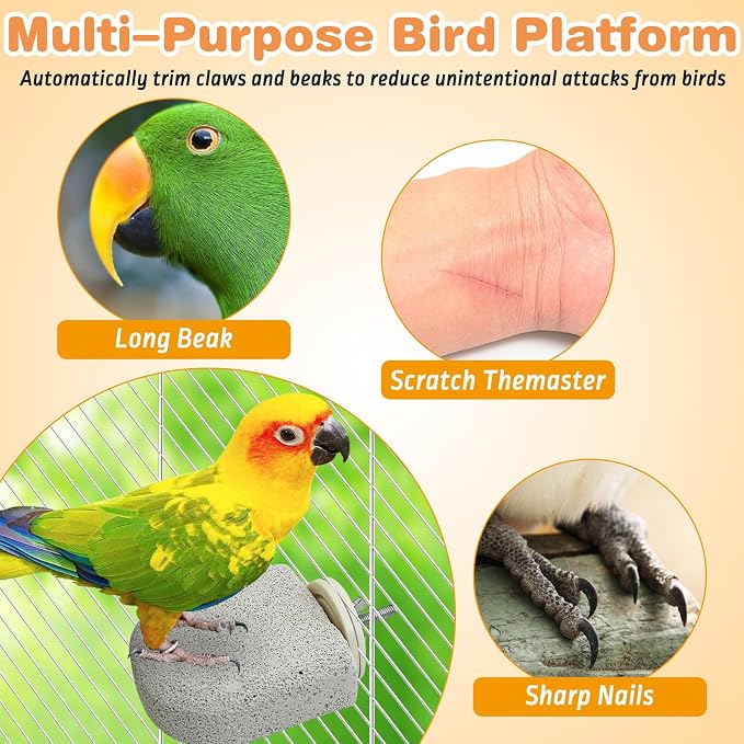PINVNBY 6 PCS Bird Perch Bird Beak Grinding Stone Calcium Mineral Parrot Perch - Image 5