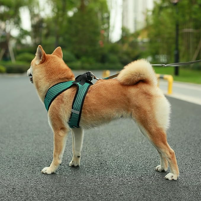 Best Pet Supplies - Image 7