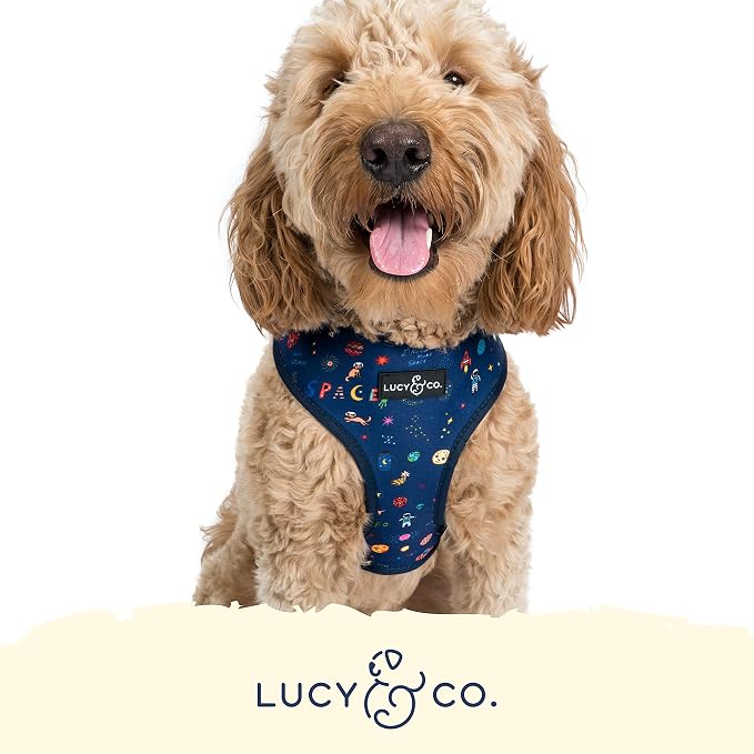 Lucy & Co. Cute Reversible Dog Harness Walking Halter - Image 5