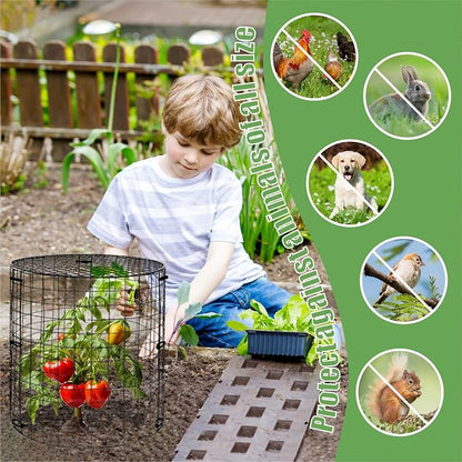 5 Packs Garden Plant Protectors from Animals, Metal Plant Cage Chicken Wire - Image 5