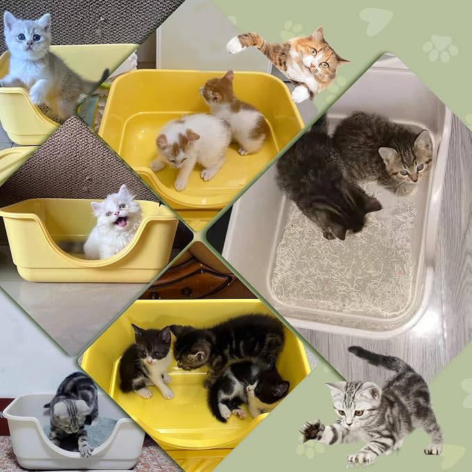 Low Entry Small Litter Box for Kittens, Kitty Plastic Litter Boxes, Open Top - Image 7