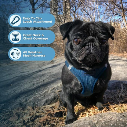 Best Pet Supplies Voyager Step-in Air All Weather Mesh Harness and Reflective - Image 5