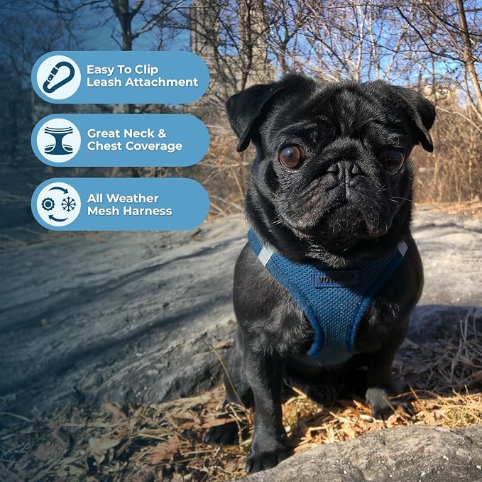 Best Pet Supplies Voyager Step-in Air All Weather Mesh Harness and Reflective - Image 6