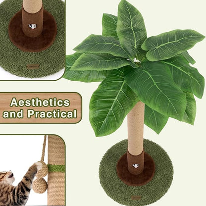 Cat Scratching Post for Indoor Cats and Kitten - Image 4
