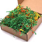 Kyouki Crinkle Paper Bird Toys, by Unknown