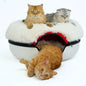 CATTASAURUS Peekaboo Cat Cave for Multiple & Large Cats Up to 30-45 Lbs by Cattasaurus