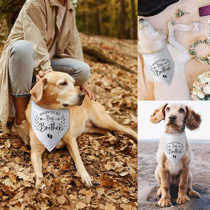 Soon to Be Big Brother Dog Bandana Baby Announcement Dog Gender Reveal Outfit - Image 6