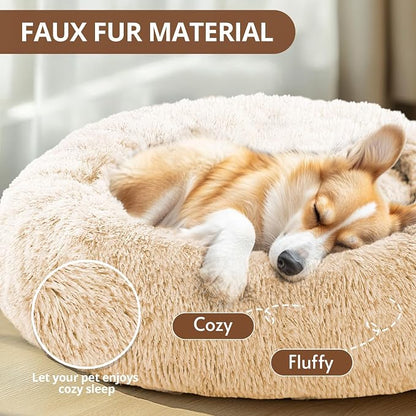 JOLLYVOGUE Calming Dog Bed for Small Dogs - Image 2