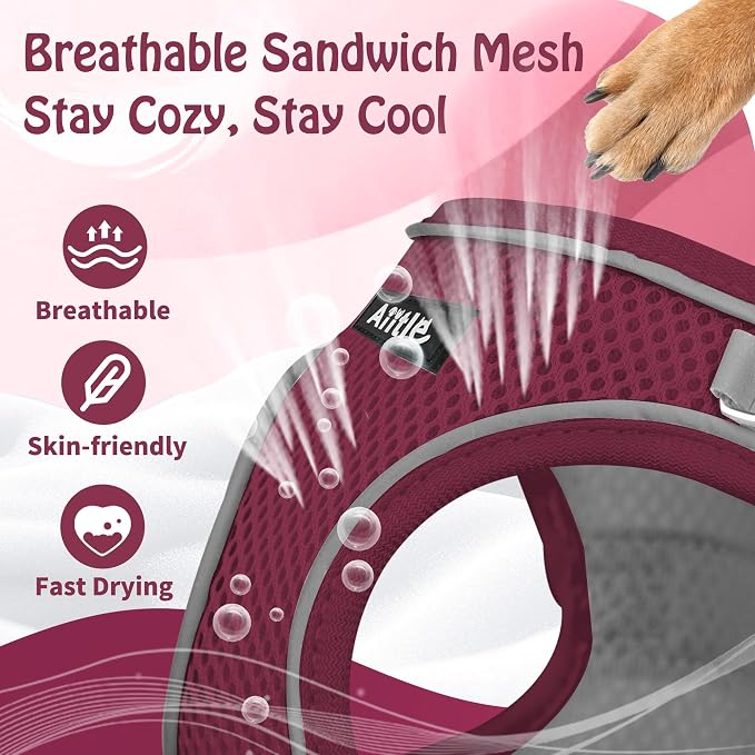 AIITLE Escape Proof Dog Harness - Image 9