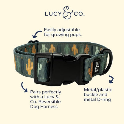 Lucy & Co. Looking Sharp Dog Collar - Image 2