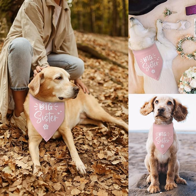 Big Sister Dog Bandana Pregnancy Announcement Gender Reveal Baby Announcement - Image 4
