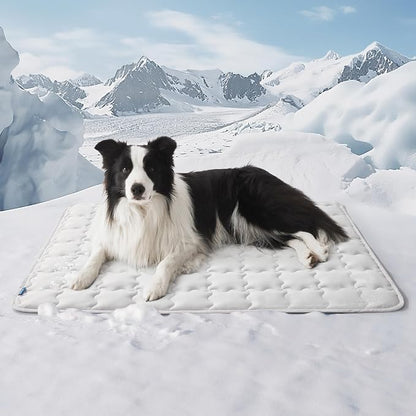 Bedsure Cooling Mat for Large Dogs – 41x28 Thin Washable Cooling Pet Pad for by BEDSURE