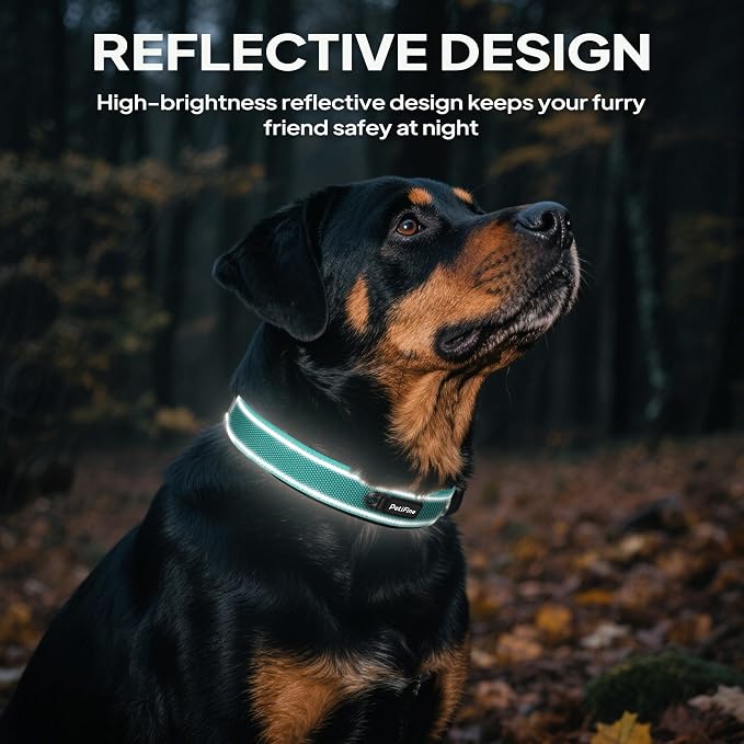 PetiFine Dog Collars for Small Dogs, Neoprene Padded Dog Collar, Reflective - Image 5