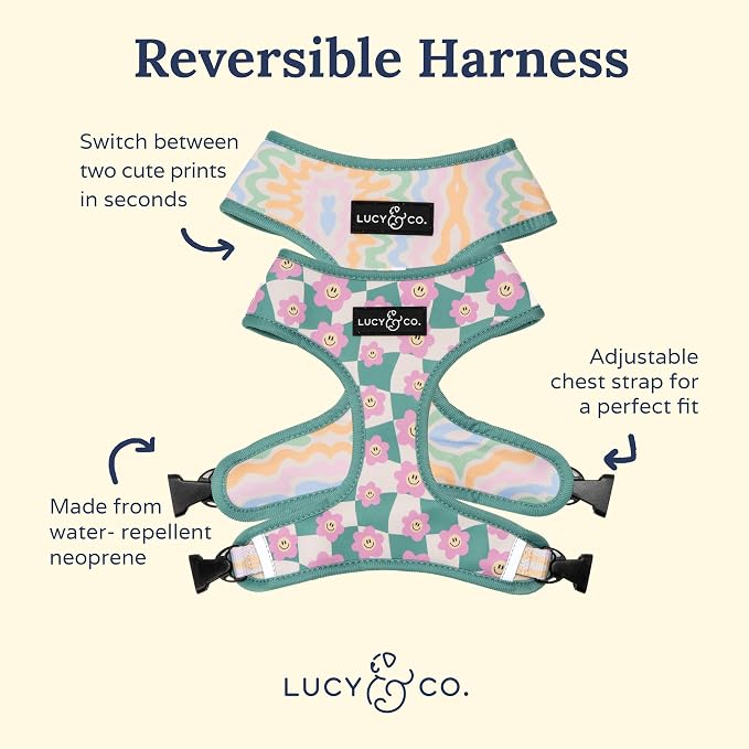 Lucy & Co. Cute Reversible Dog Harness Walking Halter - Image 6