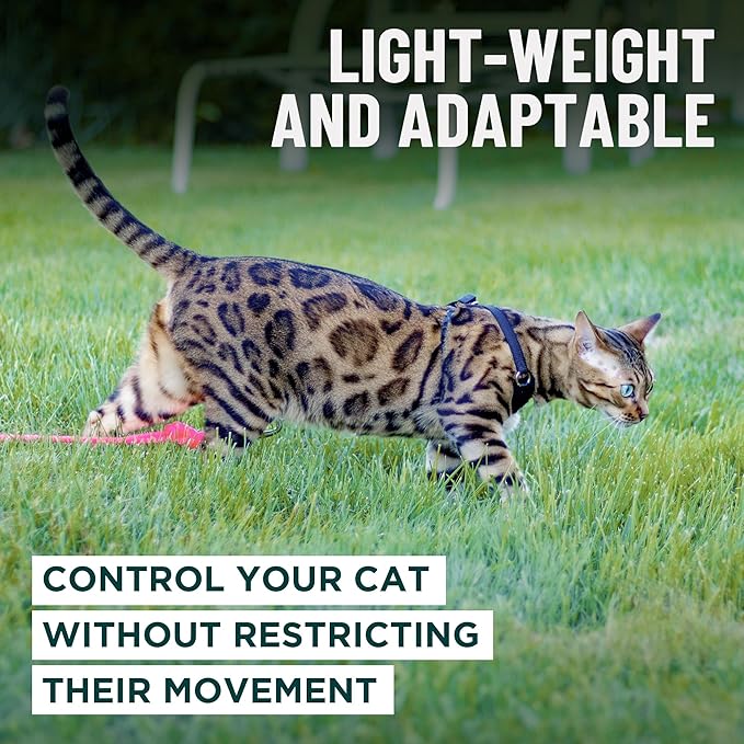 Houdini™ Escape Proof Kitten Harness and Leash Set by OutdoorBengal – Extra - Image 7