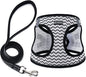 BOOMIBOO Dog Harness with Leash Set, No Pull Adjustable Reflective Step-in by BOOMIBOO