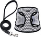 BOOMIBOO Dog Harness with Leash Set, No Pull Adjustable Reflective Step-in by BOOMIBOO