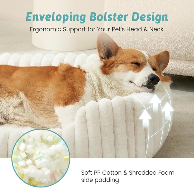Cute Pet Bed for Small Dogs & Cats - Image 5