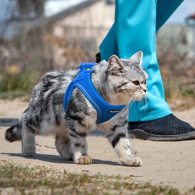 PetiFine Extra Small Step in Dog Harness and Leash Set, Cat Harness and Leash - Image 7