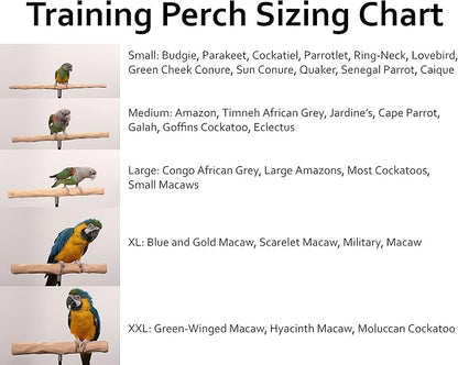 Parrot Training Perch Stand - Image 4