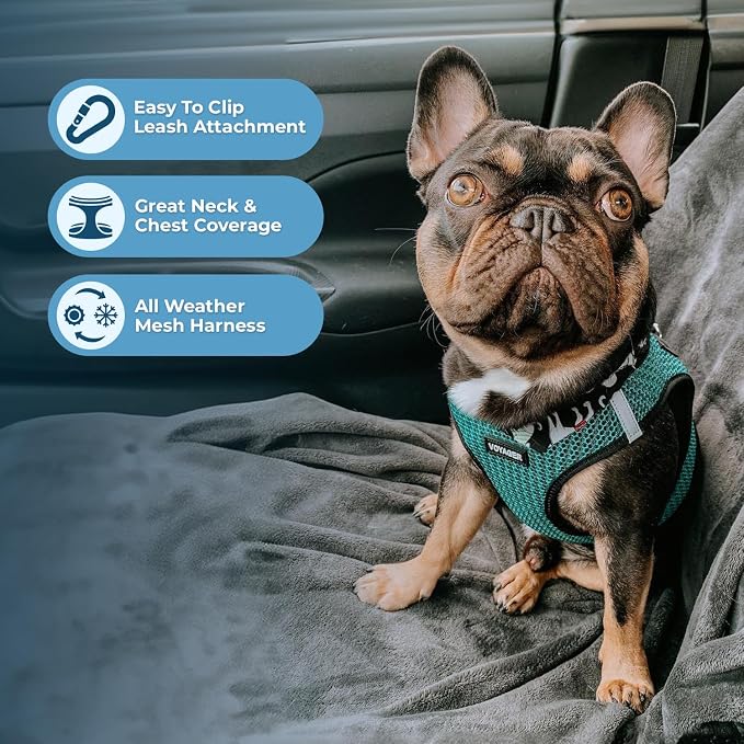 Best Pet Supplies - Image 3