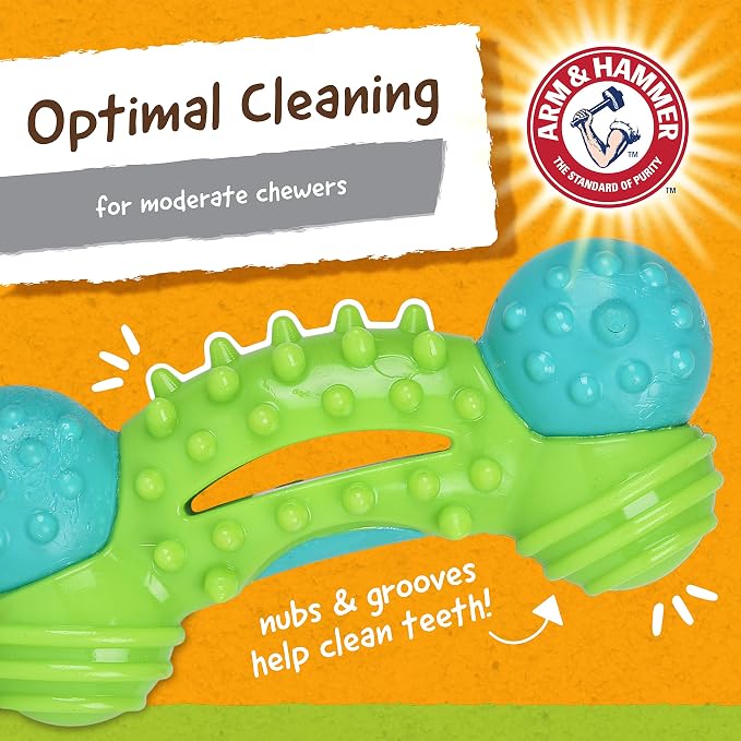 ARM & HAMMER for Pets Nubbies Duality Bone Dental Dog Toy- Best Dog Chew Toy - Image 4