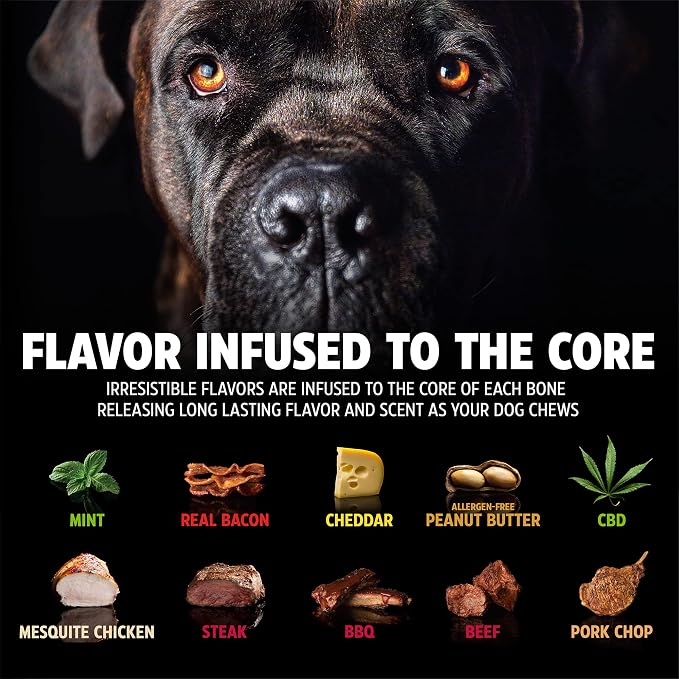 Pet Qwerks Nylon Stick BarkBone - Image 3