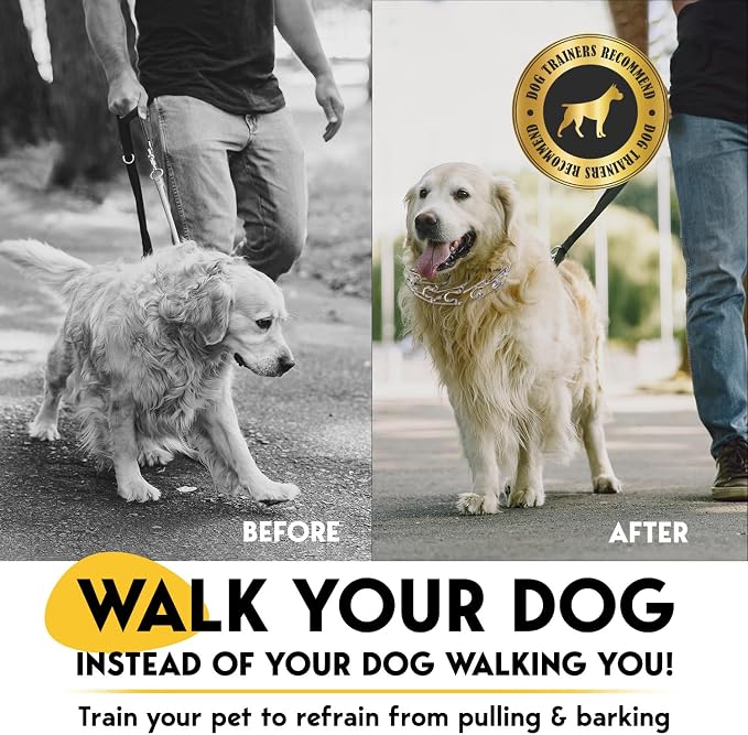 PetJett Prong Collar for Dogs - Image 2