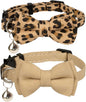 Collar for Cat Pet Breakaway by Gyapet